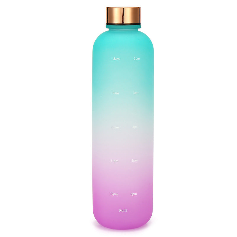 Frosted Gradient Water Bottle